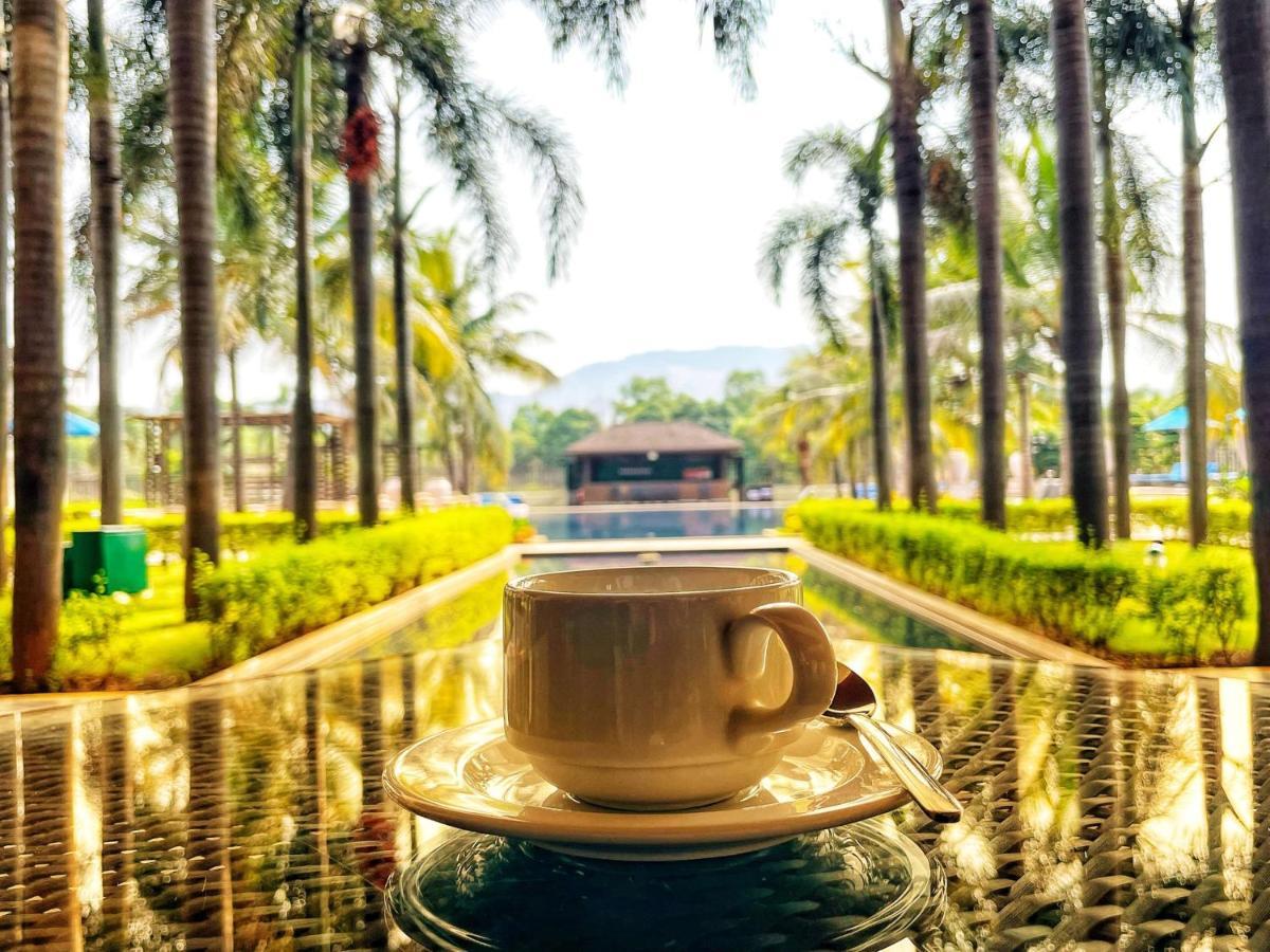 Radisson Blu Plaza Resort & Convention Centre 카르자트 외부 사진 A cup of coffee